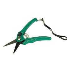 Super Sharp Hoof Shears - Green