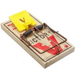 Mouse Trap - Victor 2 pack