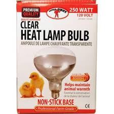 Miller - Heat Lamp Bulb - 250W - Single