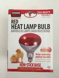Heat Lamp Bulb - 250W - Single