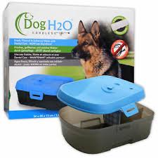 Water Fountain-Dog H20 cordless