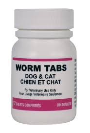 DVL - Dog & Cat Worm Tablets