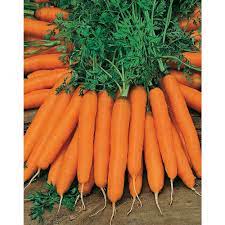 Fothergill's Seeds - Vegetables (1)