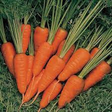 Fothergill's Seeds - Vegetables (1)