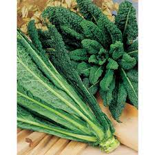 Fothergill's Seeds - Vegetables (1)