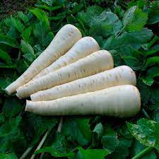 Fothergill's Seeds - Vegetables (1)