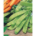 Fothergill's Seeds - Vegetables (2)