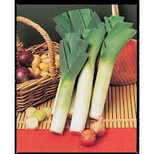 Fothergill's Seeds - Vegetables (1)