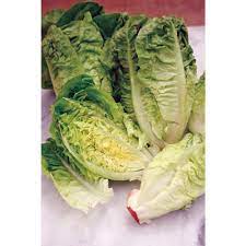 Fothergill's Seeds - Vegetables (1)