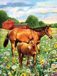 Toys-Paint By Numbers ^