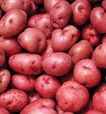 Seed Potatoes - Arriving in April