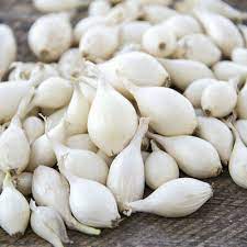 Onion Sets - Arriving April