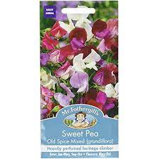 Fothergill's Seeds - Flowers