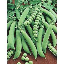 West Coast Seeds - Peas