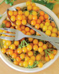 West Coast Seeds - Misc Fruit