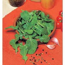 Fothergill's Seeds - Herbs