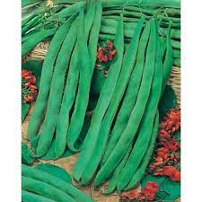 Fothergill's Seeds - Vegetables (1)