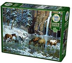 Games - Puzzle - 1000 pc - Cobble Hill