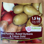 Seed Potatoes - Arriving in April