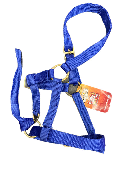 Adjustable Halter - Suckling Foal - TJT