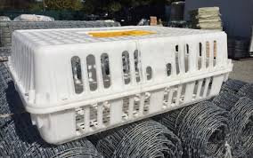 Poultry Crate - White - 10.5" x 20" x 28"