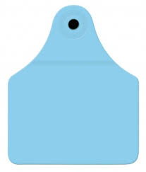 Allflex - Large Calf  Ear Tags - Blank (25 per pack)