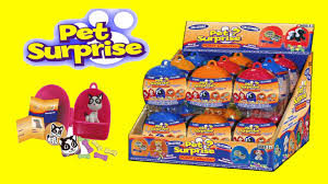 Candy - Pet Surprise