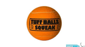 PetSport - Tuff Balls