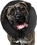 Zenpet - ProCollar Inflatable Collar