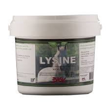 Lysine Pure - 1kg