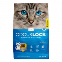 Intersand Odour Lock - Clumping Cat Litter