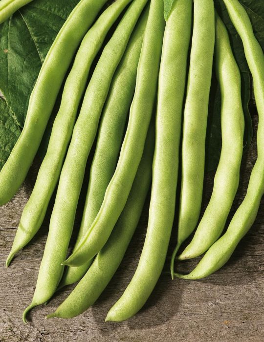 Fothergill's Seeds - Vegetables (1)