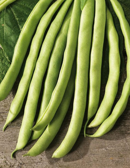 Fothergill's Seeds - Vegetables (1)