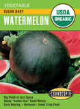 Cornucopia - Squash/Melon/Cucumber Seeds