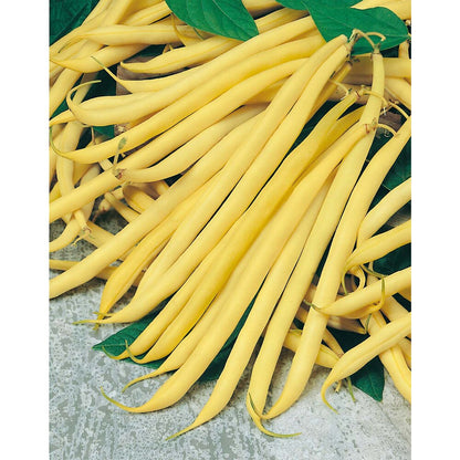 Fothergill's Seeds - Vegetables (1)