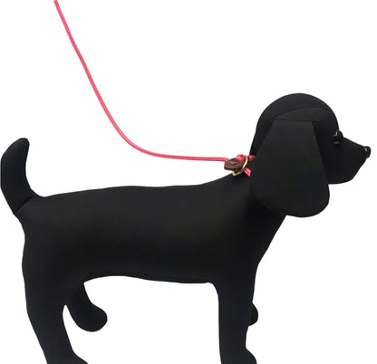 Burwash - Dog Leash (Slip Lead)