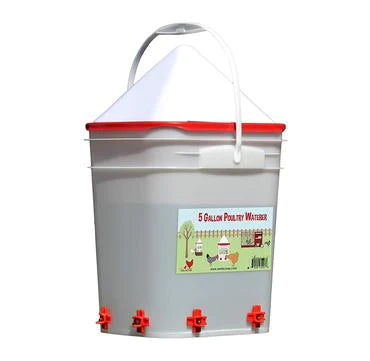 Nipple Chicken Water - Corner Placement