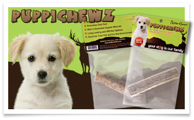 ** Antler Chew Specialty** CLEARANCE
