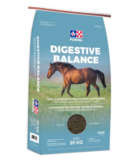 Purina - Digestive Balance - 20kg