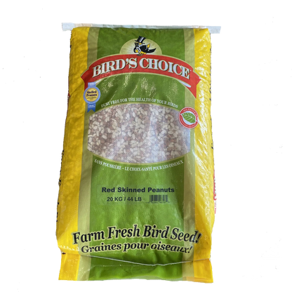 Peanuts - Without Shell