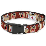 Buckle Collar and Leashes-Looney Tunes-Taz