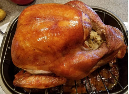 July 16th, 2025 - Classic Mini Turkey Poults (Chicks) - Shipment 2 -(Unsexed)