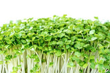 Fothergill's Seeds - Micro Greens