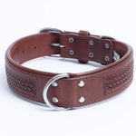 Angel - Leather Dog Collar - Santa Fe