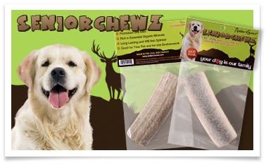 ** Antler Chew Specialty** CLEARANCE