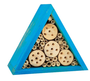 Pinebush - Wildlife Habitat