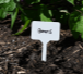 Pinebush - Plant Labels