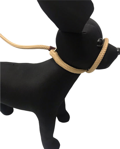 Burwash - Dog Leash (Slip Lead)