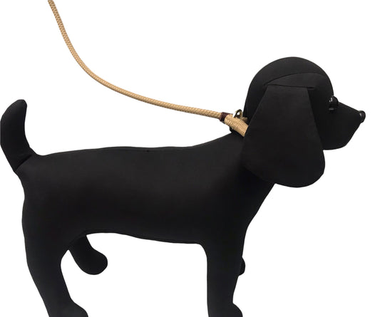 Burwash - Dog Leash (Slip Lead)