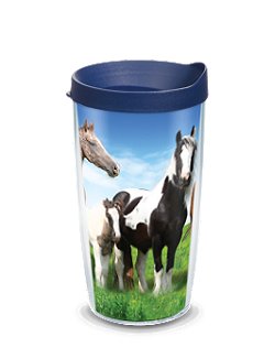 Tervis  Tumbler with Lid